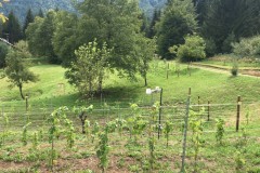 ANNATA_2018-13