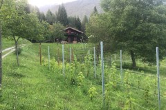 ANNATA_2018-14