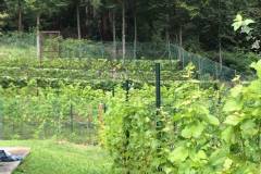 ANNATA_2018-16