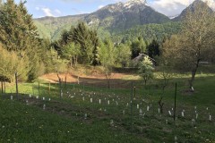 ANNATA_2018-24