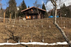 ANNATA_2018-3