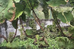 ANNATA_2018-37