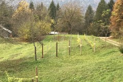 ANNATA_2018-46