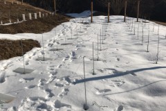 ANNATA_2018-7