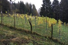 ANNATA_2018-8