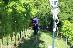 AGOSTO_2022_BLOG-12