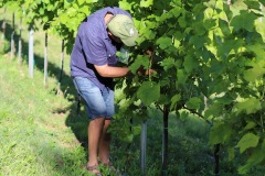 AGOSTO_2022_BLOG-14