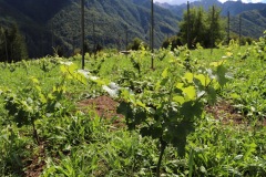 AGOSTO_2022_BLOG-19