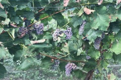 AGOSTO_2022_BLOG-2