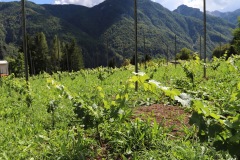 AGOSTO_2022_BLOG-20