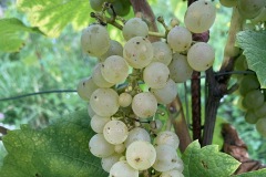 AGOSTO_2022_BLOG-35