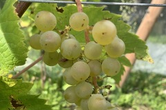 AGOSTO_2022_BLOG-36