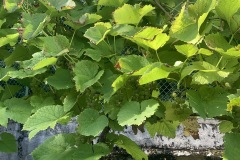 AGOSTO_2022_BLOG-39