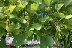 AGOSTO_2022_BLOG-40