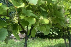 AGOSTO_2022_BLOG-41
