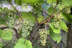 AGOSTO_2022_BLOG-42