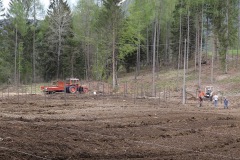 APRILE_2022_BLOG-13