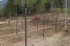APRILE_2022_BLOG-2