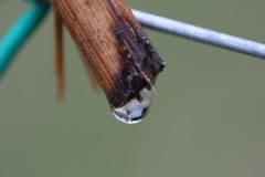 APRILE_2022_BLOG-22