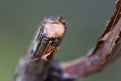 APRILE_2022_BLOG-23