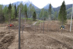 APRILE_2022_BLOG-39