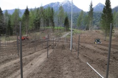 APRILE_2022_BLOG-42