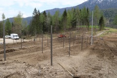 APRILE_2022_BLOG-60