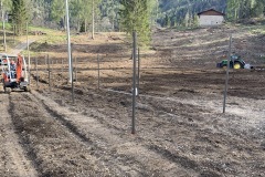 APRILE_2022_BLOG-73