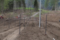 APRILE_2022_BLOG-8