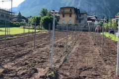GIUGNO_2022_BLOG-1