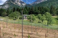 GIUGNO_2022_BLOG-108