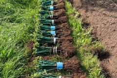GIUGNO_2022_BLOG-112