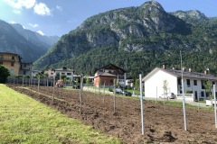 GIUGNO_2022_BLOG-13