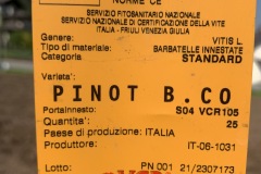 GIUGNO_2022_BLOG-15