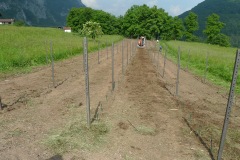 GIUGNO_2022_BLOG-2