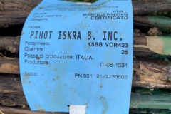 GIUGNO_2022_BLOG-27