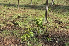 GIUGNO_2022_BLOG-29