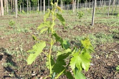 GIUGNO_2022_BLOG-30