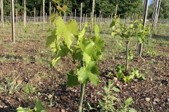 GIUGNO_2022_BLOG-31