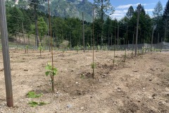 GIUGNO_2022_BLOG-34