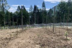 GIUGNO_2022_BLOG-35