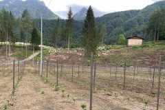 GIUGNO_2022_BLOG-37