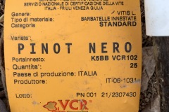 GIUGNO_2022_BLOG-38