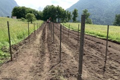 GIUGNO_2022_BLOG-41