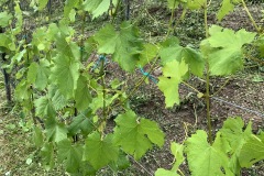 GIUGNO_2022_BLOG-6