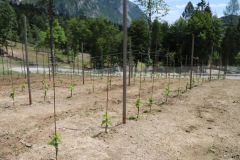 GIUGNO_2022_BLOG-60
