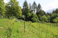 GIUGNO_2022_BLOG-66