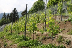 GIUGNO_2022_BLOG-71
