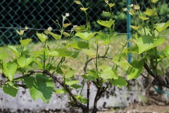 GIUGNO_2022_BLOG-80