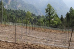 GIUGNO_2022_BLOG-83